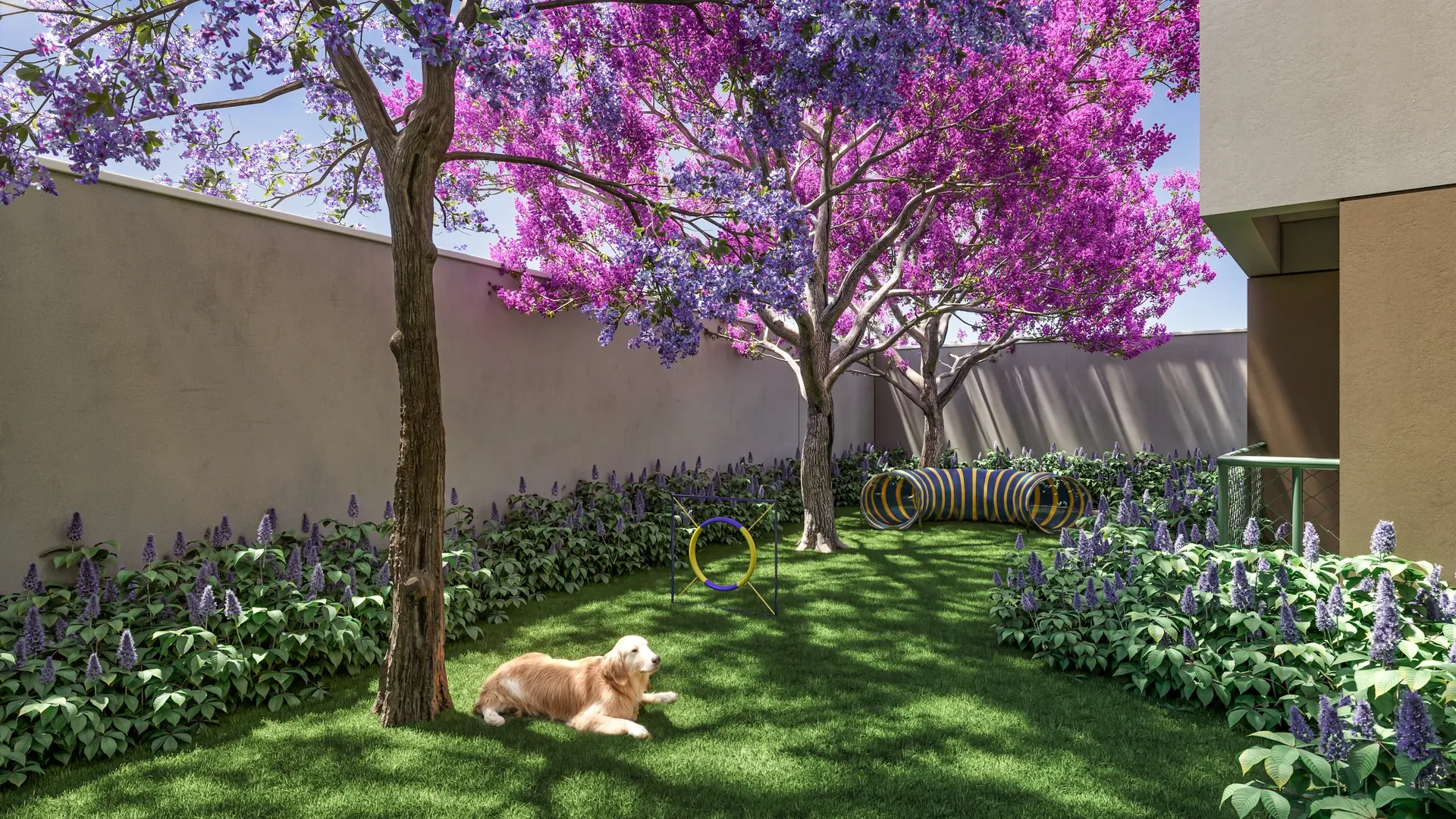 Pet Place Place - Área de lazer do Tee Marajoara em Vila Campo Grande, São Paulo