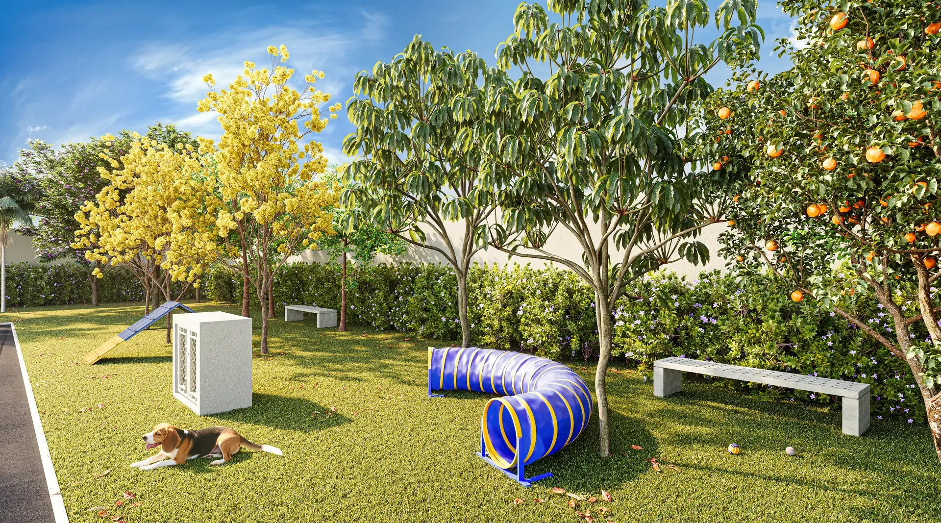 Petplace - Área de lazer do Best Barra Funda em Barra Funda, São Paulo