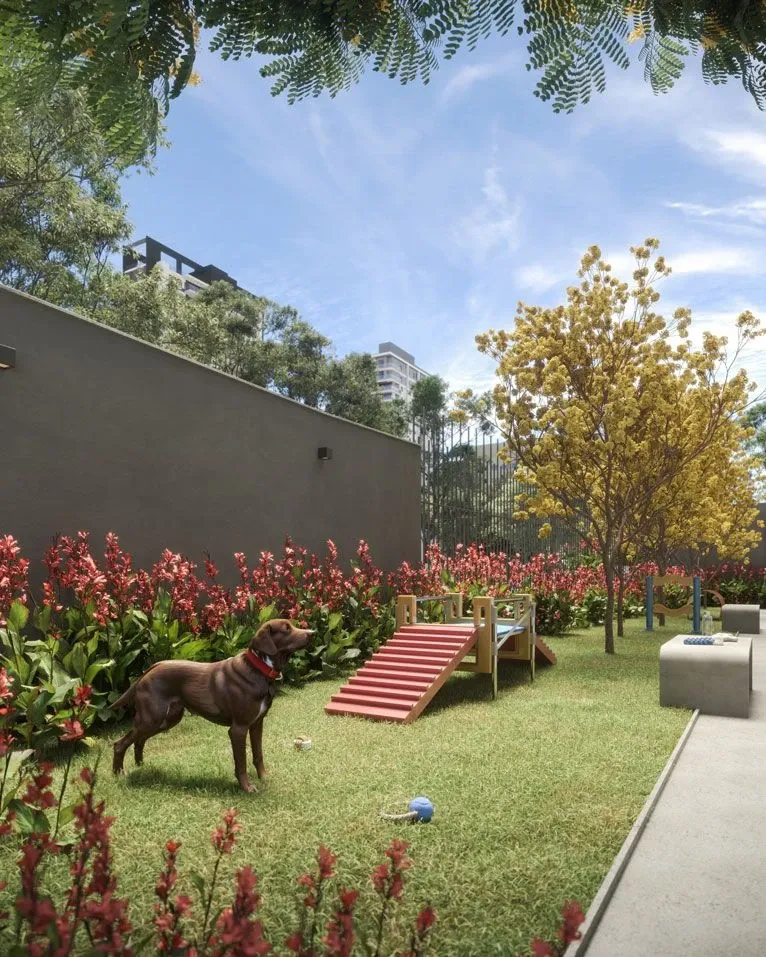 Pet Place Place - Área de lazer do Today Paraíso em Paraíso, São Paulo