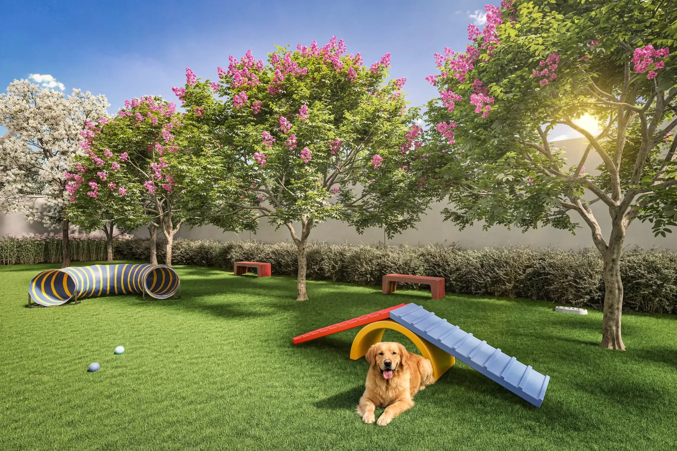 Pet Place Place - Área de lazer do Class Prime em Vila Prudente, São Paulo
